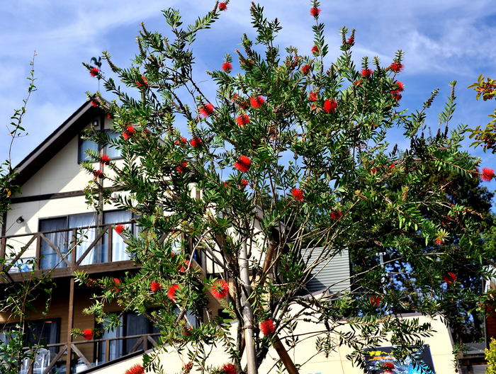 2010-10-23-1.jpg