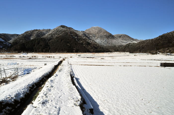 2011-大室山‐雪2.jpg