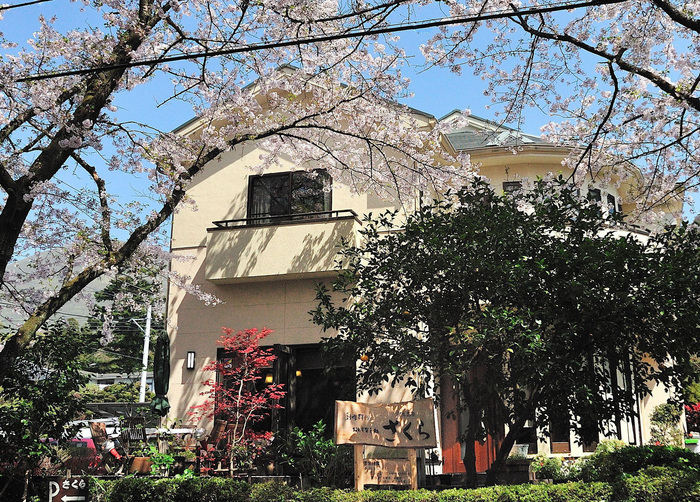 SAKURA-[2-A.jpg